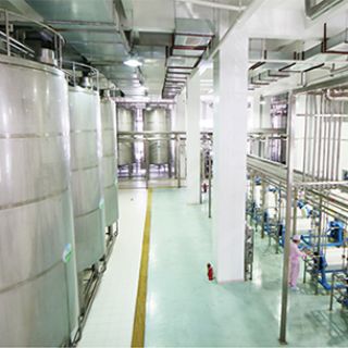 ����������˹���