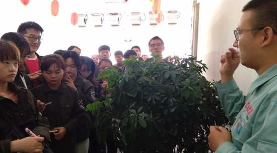 ���ɹſƼ���ѧʦ�����ҹ�˾����