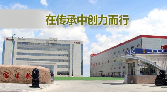 �ڴ����д������� yl23455�������ﱻ���衰���ɹ����ֺš��ƺ�