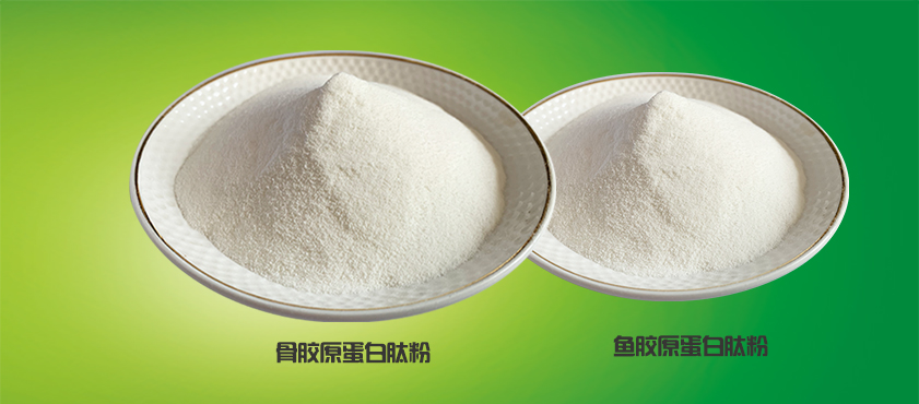 1613700196872701.jpg 骨+鱼胶原卵白.jpg